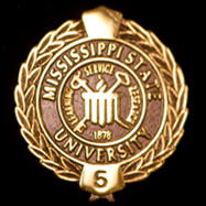 Five Year Pin Five Year Pin