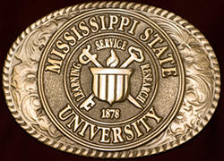 Western Style Belt Buckle Western Style Belt Buckle