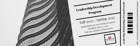 LDP Application Graphic